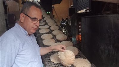 حملات مفاجئة تكشف مخالفات جسيمة ولحوما منتهية الصلاحية في المنصورة