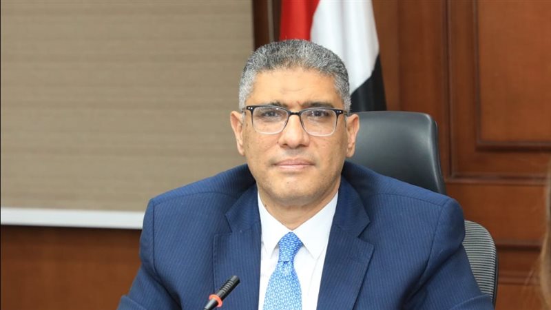عادل النجار، محافظ