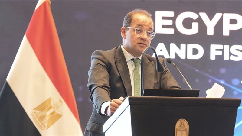 أحمد كجوك وزير المالية