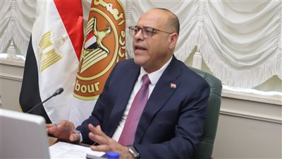 وزير العمل: الذكاء الاصطناعي يعيد تشكيل مستقبل الوظائف في مصر
