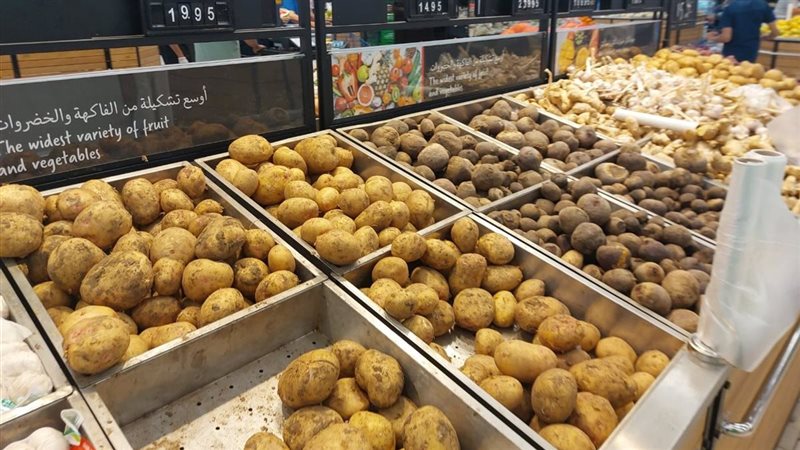 البطاطس 