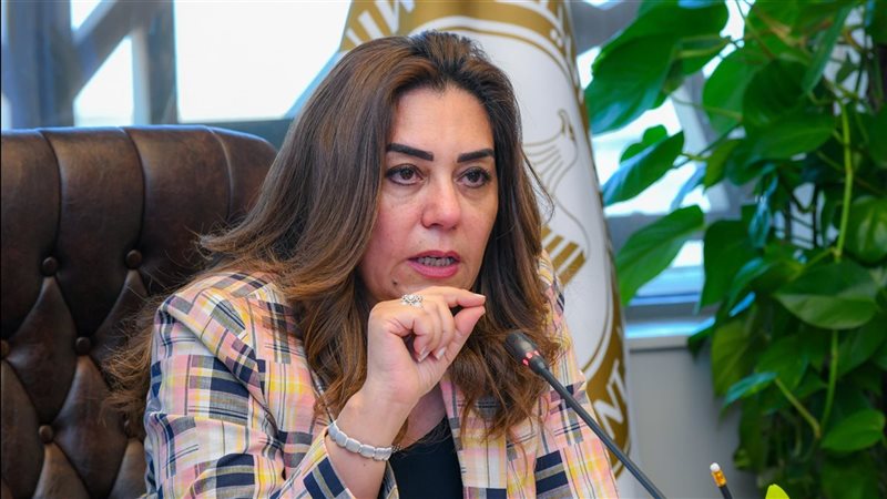 منال عوض القائم بأعمال