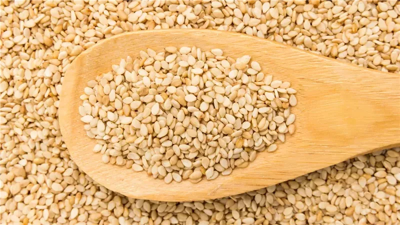 السمسم 