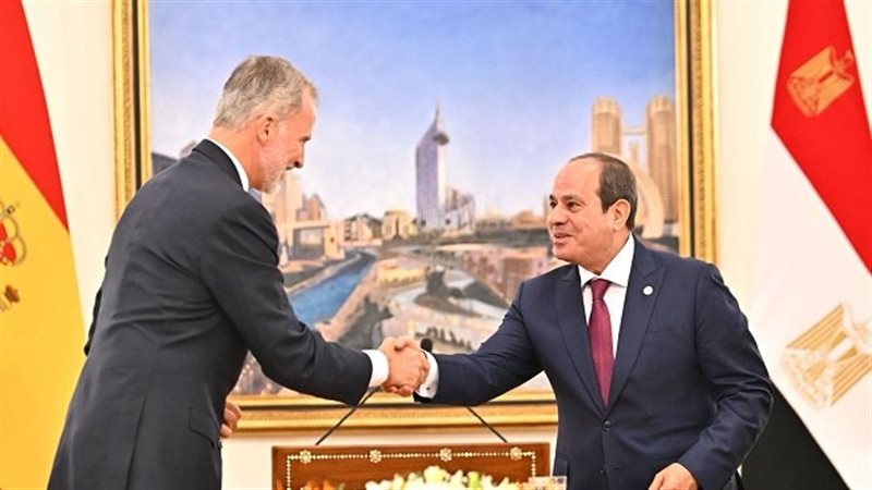 لقاء الرئيس عبدالفتاح