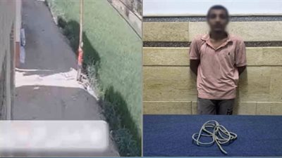القبض على عامل خردة متهم بسرقة كابل كهربائي من أحد الأعمدة بالشرقية (فيديو)