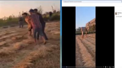 القبض على مزارع ونجله بتهمة التعدي على آخرين بعصا خشبية بالدقهلية