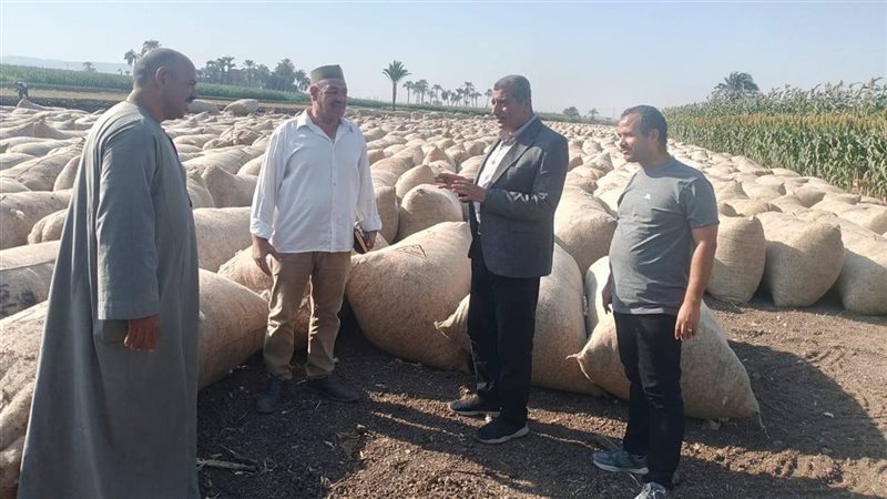 موسم توريد القطن
