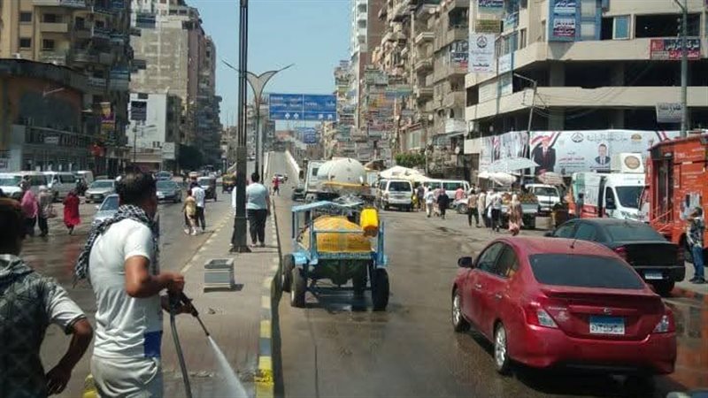 حملات نظافة بالدقهلية،