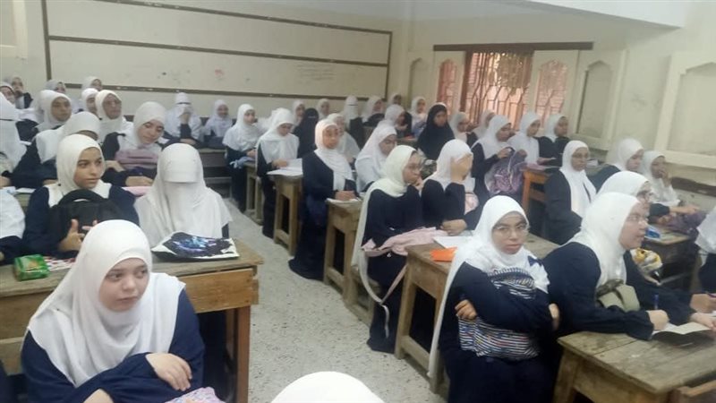 معهد الإسكندرية 