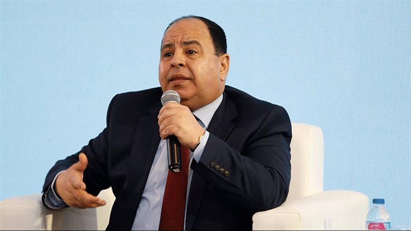 وزير المالية محمد