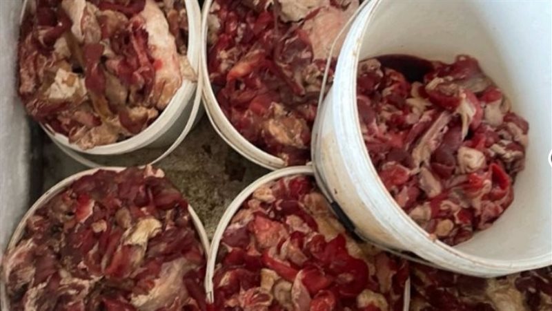 اللحوم المجمدة المضبوطة