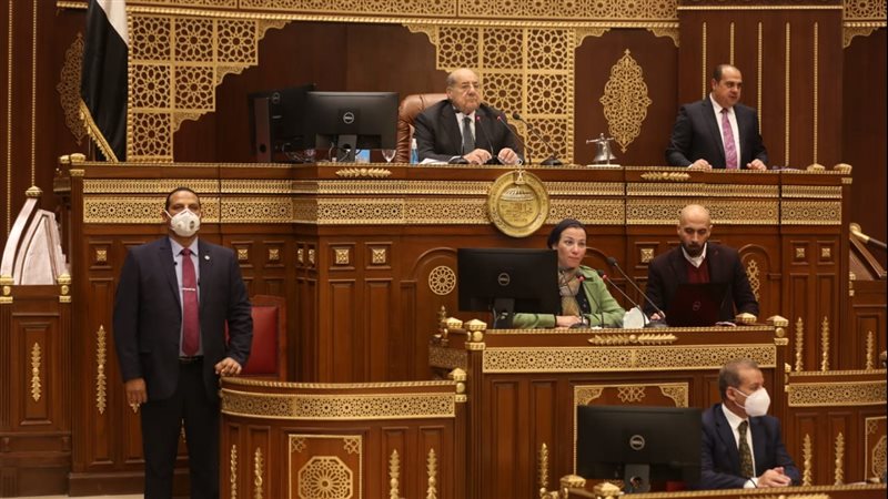 مجلس الشيوخ اليوم