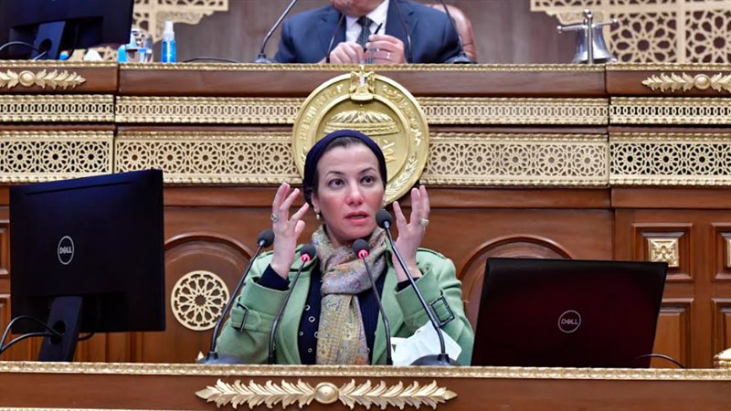 ياسمين فؤاد وزيرة