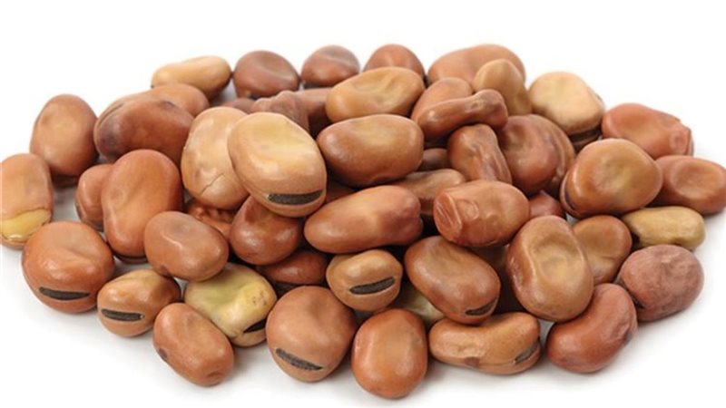 تفسير رؤية الفول