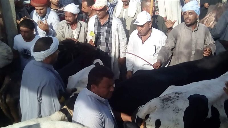 حملة تحصين الماشية