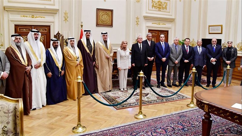 النواب البحريني،