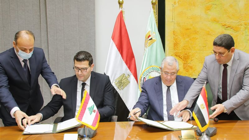 فيتو
