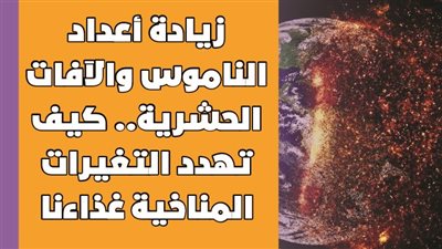 زيادة أعداد الناموس والآفات الحشرية.. كيف تهدد التغيرات المناخية غذاءنا| فيديو جراف