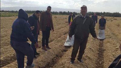 لجنة مركز بحوث الصحراء تبدأ استصلاح 3 أفدنة بوسط سيناء