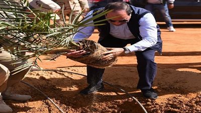 بالأرقام.. مدير مشروعات الخدمة الوطنية يستعرض مسيرة التنمية الشاملة في توشكى 