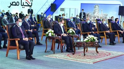  السيسي يكلف بتوفير المرافق اللازمة للتوسع في الأراضي الزراعية المستصلحة بتوشكى