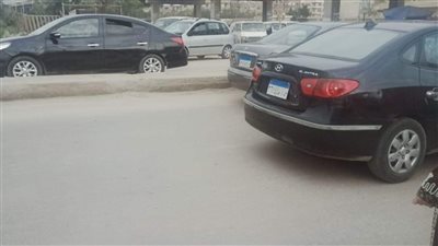 استقرار الأحوال الجوية في الإسكندرية | صور 