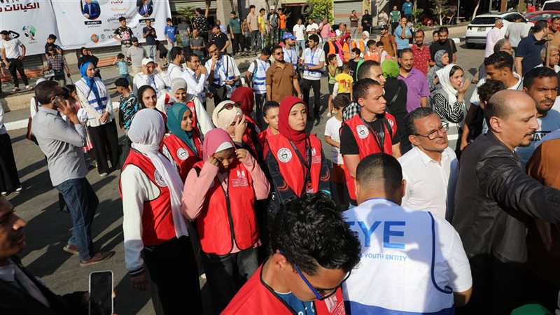 مبادرة الكيانات فى