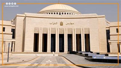 أستاذ قانون يكشف أحقية تعديل الإجراءات الجنائية في البرلمان الجديد