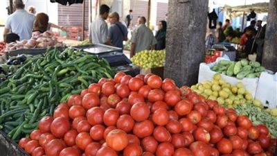 قفزة جديد في أسعار الطماطم بالأسواق اليوم 
