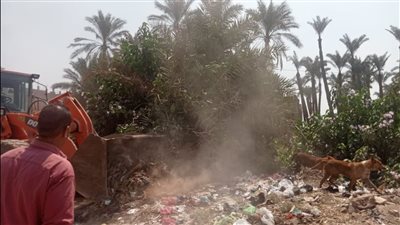 محافظ الجيزة: إزالة 58 حالة بناء مخالف على أراضي أملاك الدولة بالبدرشين ومنشأة القناطر 