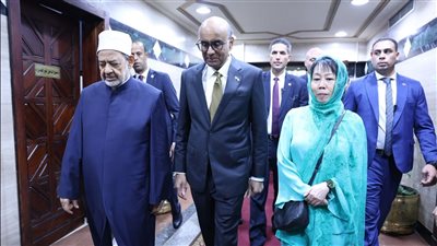 شيخ الأزهر يستقبل رئيس سنغافورة ويتفقان على مواصلة الضغط لوقف العدوان على غزة