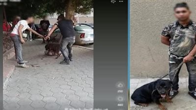 ضبط المتهم في واقعة تعدي كلب على آخر بالجيزة