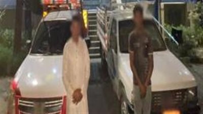 الداخلية تضبط قائدي ربع نقل عرضوا حياة المارة للخطر بالإسكندرية