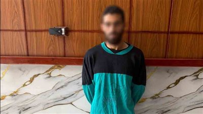 الأمن يكشف ملابسات ضبط شخص لارتكابه أفعالًا خادشة للحياء في الشرقية