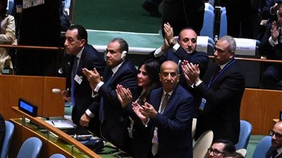 شاهد، فرحة الوفد المصري باعتراف فرنسا بالدولة الفلسطينية خلال مؤتمر الأمم المتحدة