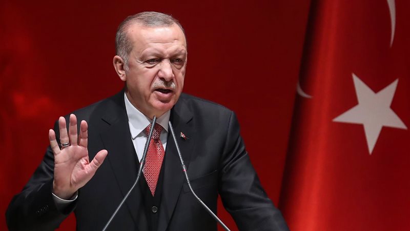 أردوغان، فيتو 