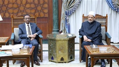 شيخ الأزهر يبحث مع وزير التعليم العالي السوداني تعزيز التعاون المشترك