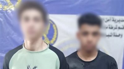 الداخلية تكشف تفاصيل صورة متداولة لشخصين يحملان أسلحة بمنشأة ناصر