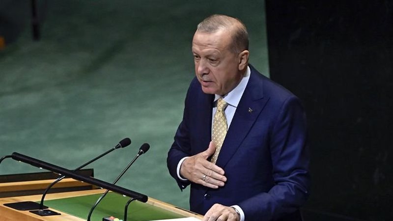 أردوغان، فيتو 