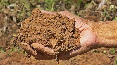 تفسير حلم أكل الطين فى المنام وعلاقته بقرب حدوث تغير إيجابي 