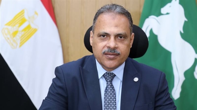 محافظ الشرقية