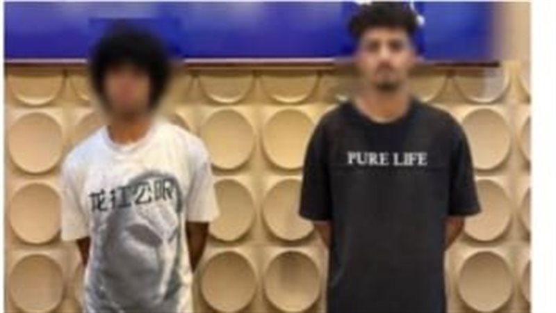 ضبط المتهمين، فيتو