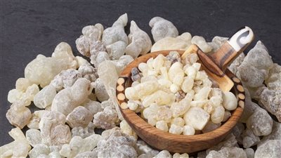 اللبان الدكر الحل السحري لمشاكل اللثة والأسنان وجمال بشرتك