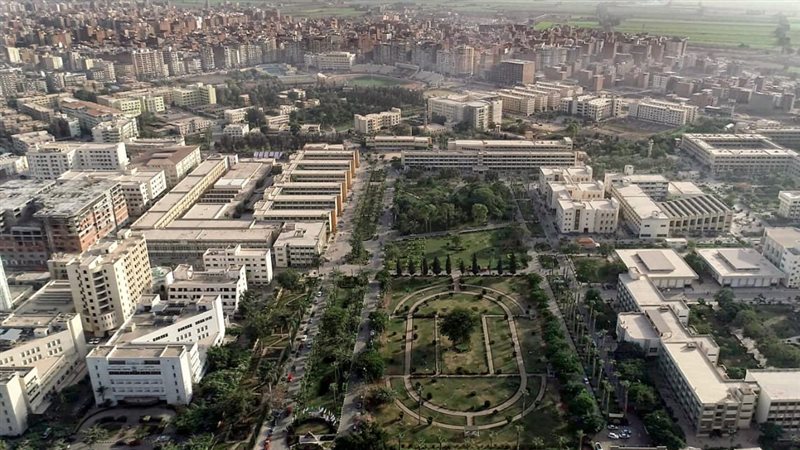جامعة المنصورة، فيتو