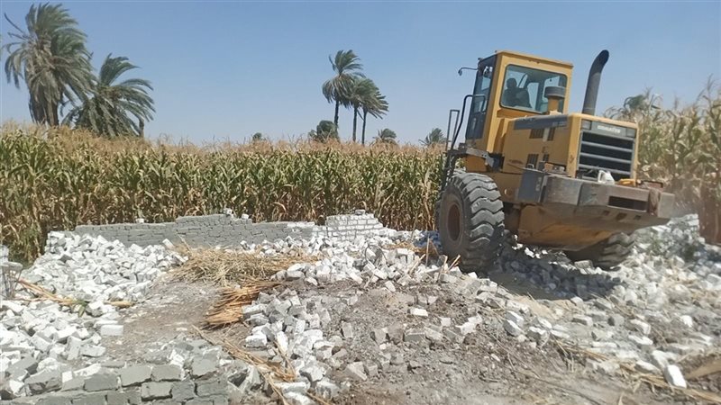 حملة إزالة بأسيوط،