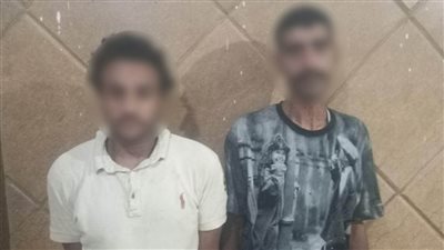 الداخلية تكشف تفاصيل واقعة سرقة هاتف سيدة واستخدامه لابتزازها في الجيزة