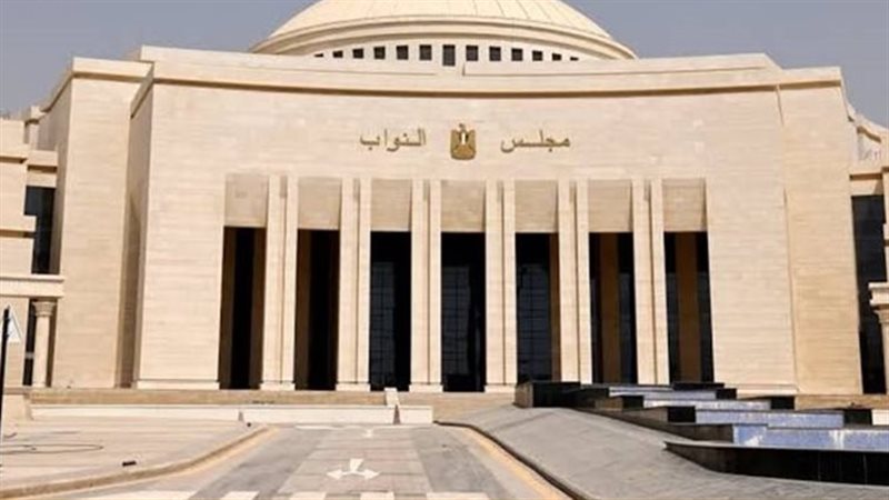 مجلس النواب، فيتو