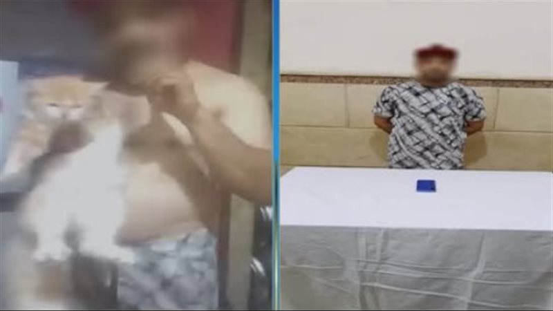 ضبط المتهم، فيتو
