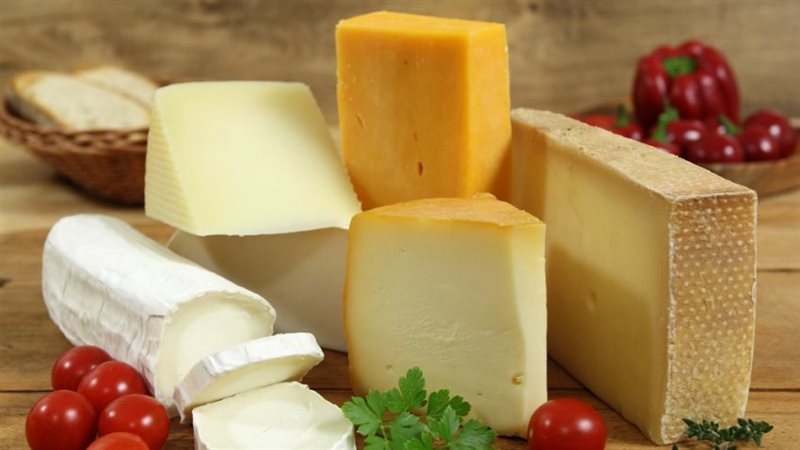 أسعار الجبن اليوم،
