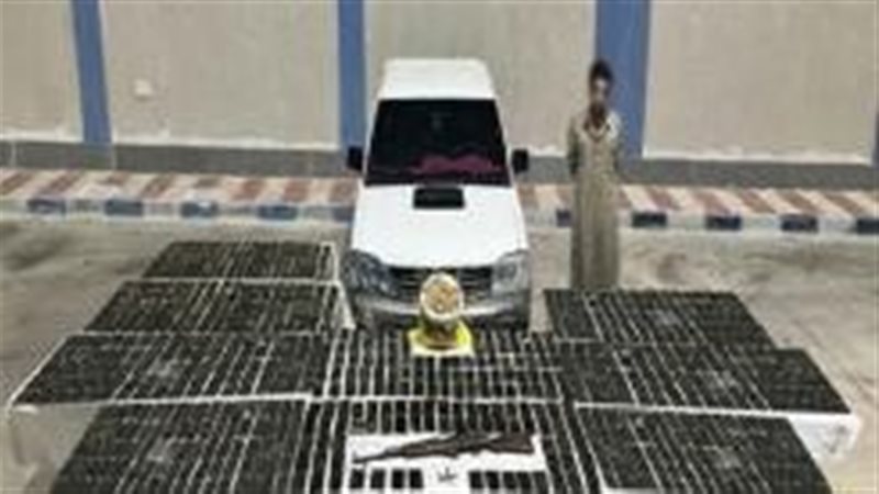 الداخلية توجه ضربة